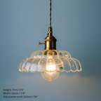 Vintage Inspired Clear Glass Pendant Lights