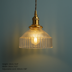 Vintage Inspired Clear Glass Pendant Lights