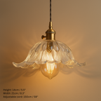 Vintage Inspired Clear Glass Pendant Lights