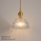 Vintage Inspired Clear Glass Pendant Lights