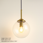 Globe Glass Pendant Lights