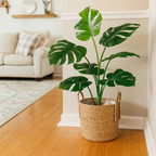Handwoven Straw Planter Baskets
