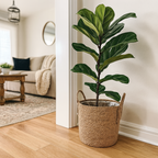 Handwoven Straw Planter Baskets