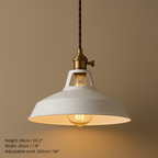 Industrial Style Pastel Coloured Pendant Lights